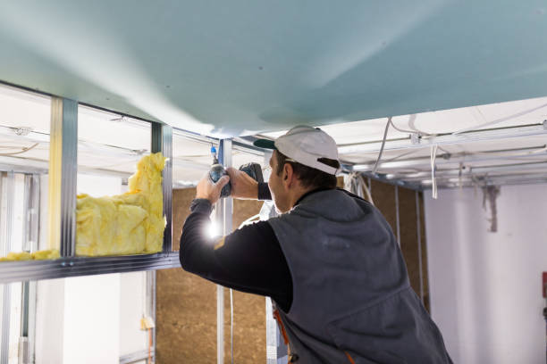 Best Specialized Insulation Services in Angola, NY
